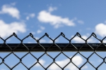 Забор из сетки-рабицы – виды, особенности, преимущества